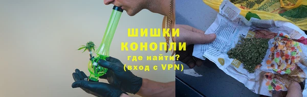 дмт Алзамай