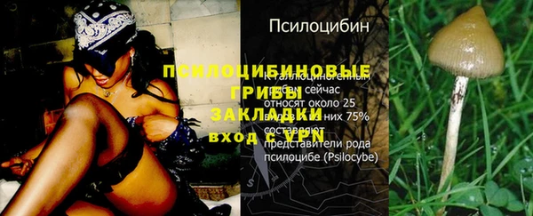 первитин Алексеевка