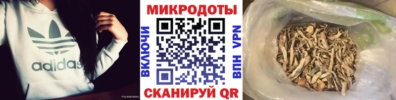 Псилоцибиновые грибы прущие грибы  закладка  кракен рабочий сайт  Берёзовка 