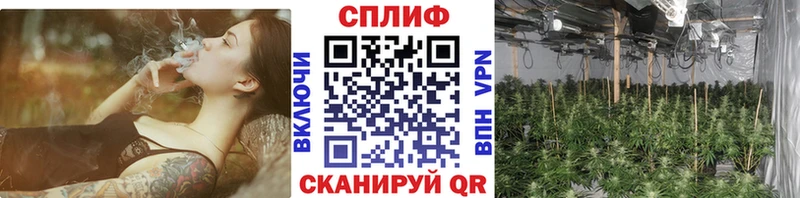 Канабис OG Kush  цена наркотик  Берёзовка 